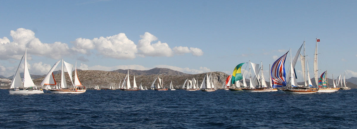 Bodrum Cup